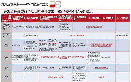 高效賦能 龍湖PMO項目管理部如何通過體系研究驅動企業管理升級